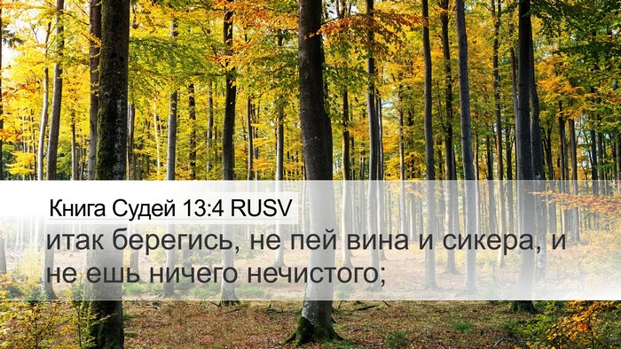 Книга Судей 13:4 RUSV Desktop Wallpaper - итак берегись, не пей вина - Desktop Bible Verse Wallpaper