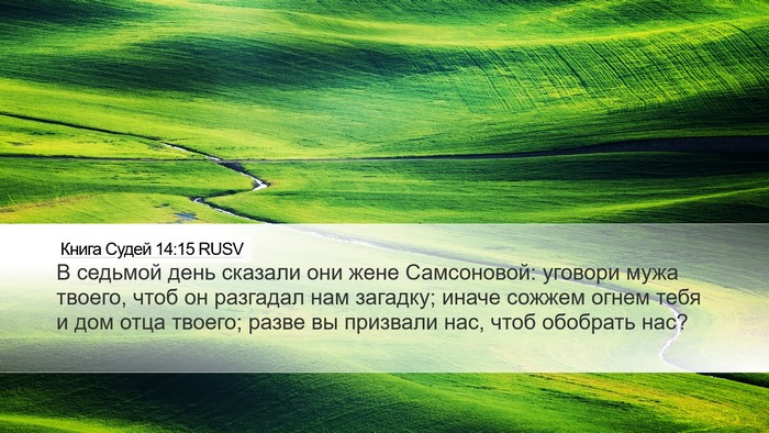 Книга Судей 14:15 RUSV Bible Verse Image