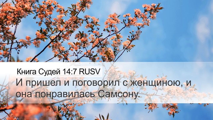 Книга Судей 14:7 RUSV Desktop Wallpaper - И пришел и поговорил с - Desktop Bible Verse Wallpaper