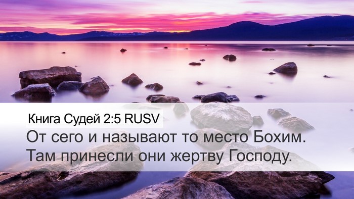 Книга Судей 2:5 RUSV Bible Verse Image