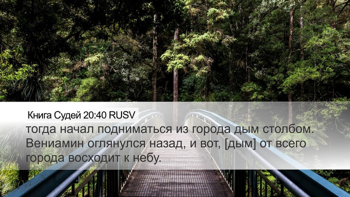Книга Судей 20:40 RUSV Bible Verse Image
