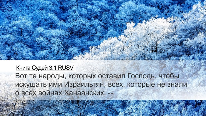 Книга Судей 3:1 RUSV Bible Verse Image