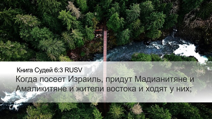 Книга Судей 6:3 RUSV Bible Verse Image