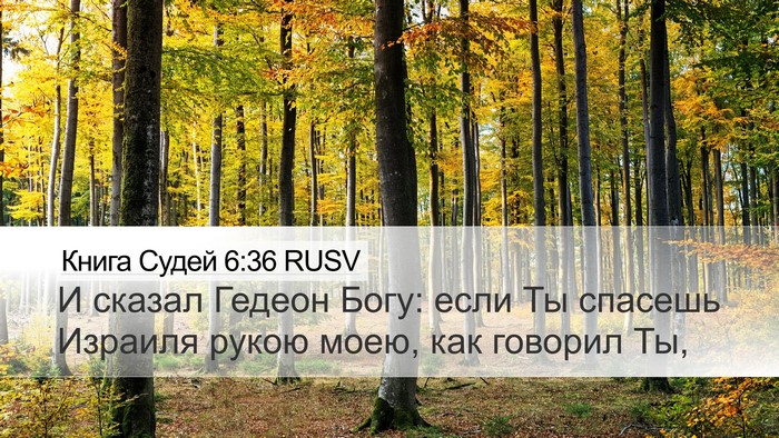 Книга Судей 6:36 RUSV Bible Verse Image