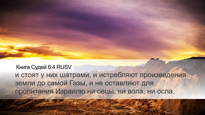 Книга Судей 6:4 RUSV Bible Verse Image