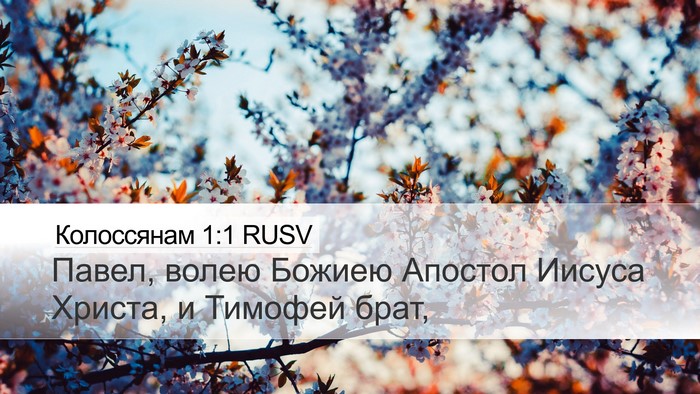 Колоссянам 1:1 RUSV Bible Verse Image