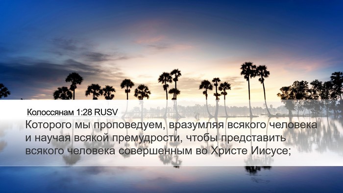 Колоссянам 1:28 RUSV Bible Verse Image