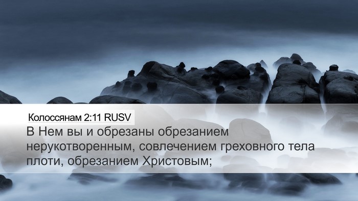 Колоссянам 2:11 RUSV Bible Verse Image