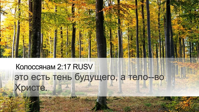 Колоссянам 2:17 RUSV Bible Verse Image