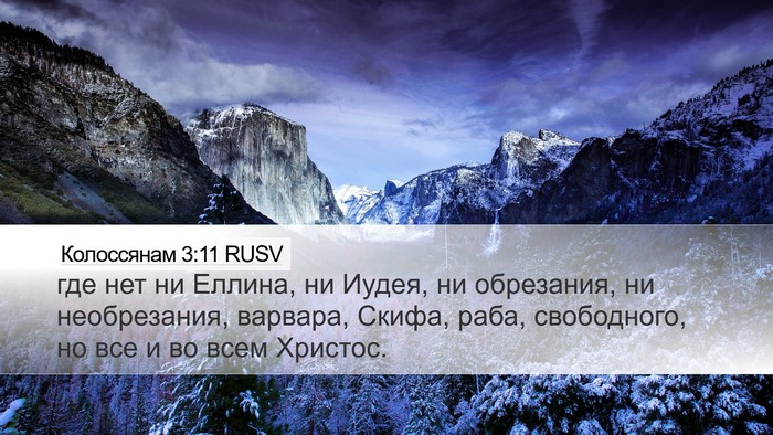 Колоссянам 3:11 RUSV Bible Verse Image