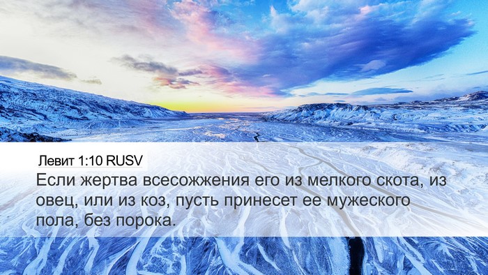 Левит 1:10 RUSV Bible Verse Image