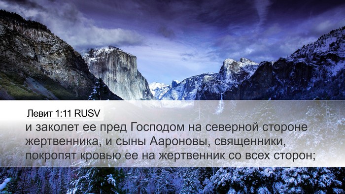 Левит 1:11 RUSV Bible Verse Image