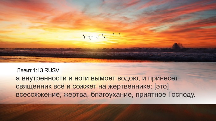 Левит 1:13 RUSV Bible Verse Image