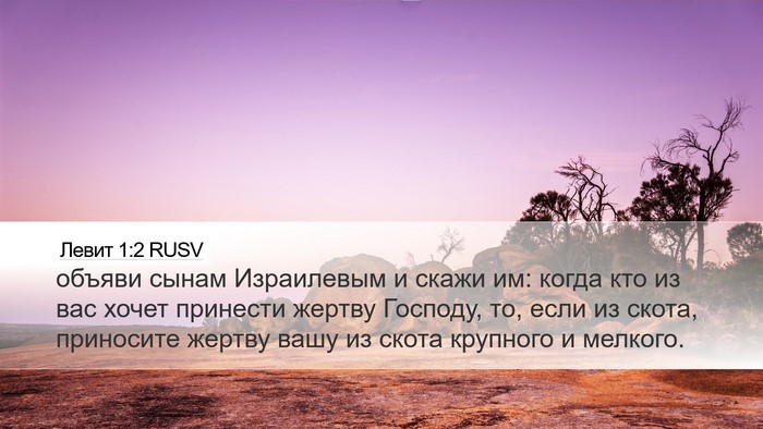 Левит 1:2 RUSV Desktop Wallpaper - объяви сынам Израилевым и - Desktop Bible Verse Wallpaper