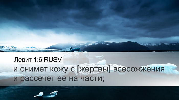Левит 1:6 RUSV Bible Verse Image