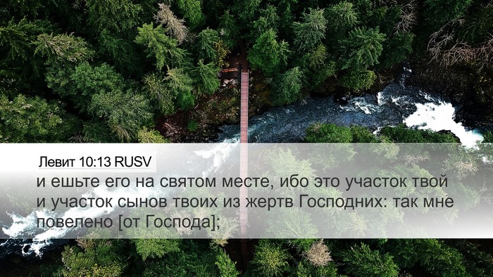 Левит 10:13 RUSV Bible Verse Image