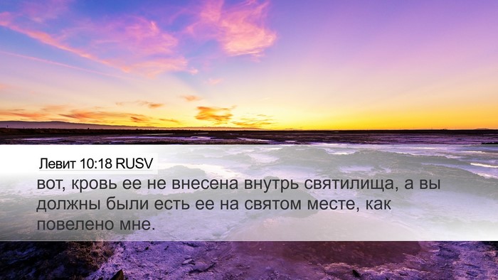 Левит 10:18 RUSV Desktop Wallpaper - вот, кровь ее не внесена - Desktop Bible Verse Wallpaper