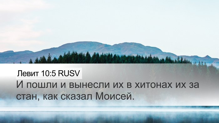 Левит 10:5 RUSV Bible Verse Image