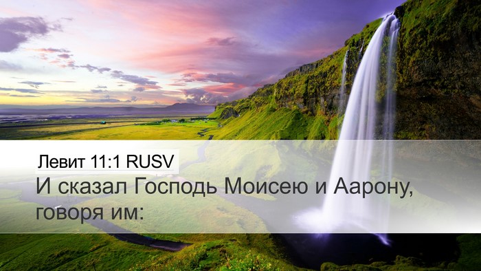 Левит 11:1 RUSV Bible Verse Image