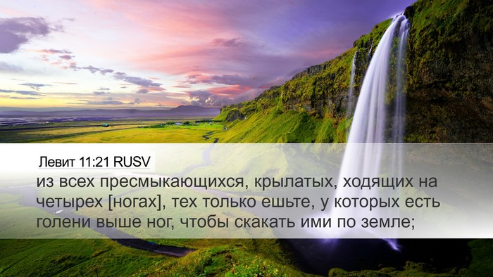 Левит 11:21 RUSV Desktop Wallpaper - из всех пресмыкающихся, - Desktop Bible Verse Wallpaper