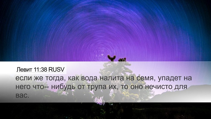 Левит 11:38 RUSV Bible Verse Image