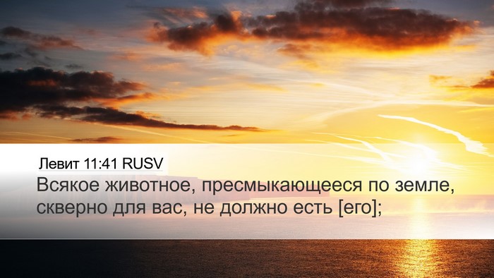 Левит 11:41 RUSV Bible Verse Image