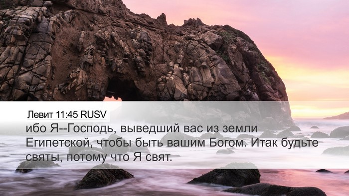 Левит 11:45 RUSV Bible Verse Image