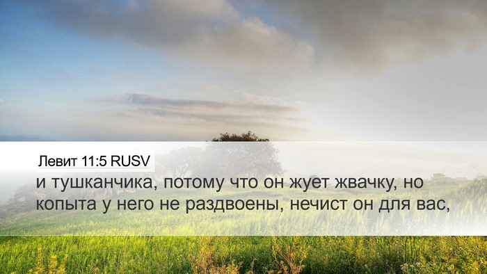 Левит 11:5 RUSV Bible Verse Image