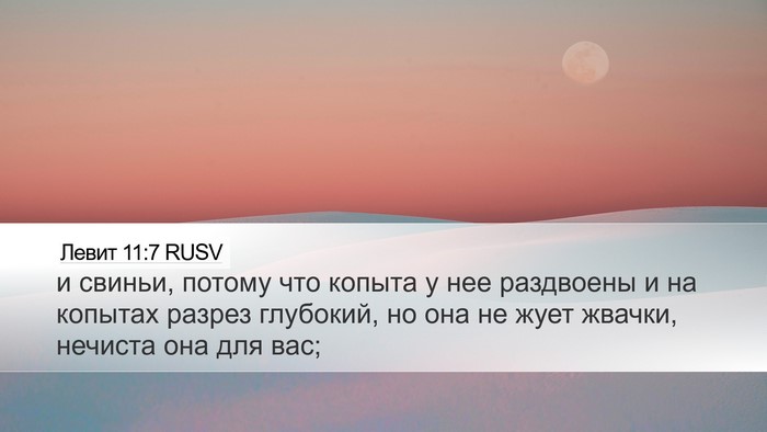 Левит 11:7 RUSV Bible Verse Image