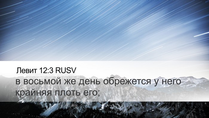 Левит 12:3 RUSV Bible Verse Image