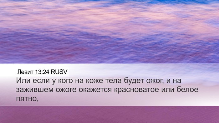 Левит 13:24 RUSV Bible Verse Image