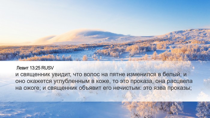 Левит 13:25 RUSV Desktop Wallpaper - и священник увидит, что - Desktop Bible Verse Wallpaper