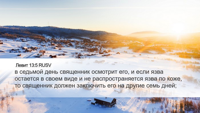 Левит 13:5 RUSV Desktop Wallpaper - в седьмой день священник - Desktop Bible Verse Wallpaper