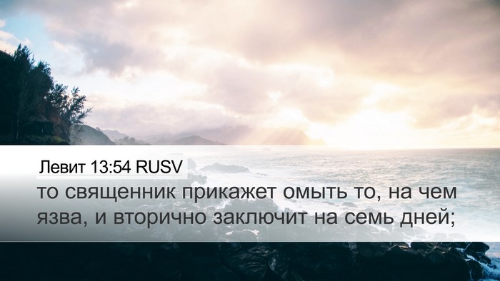 Левит 13:54 RUSV Desktop Wallpaper - то священник прикажет - Desktop Bible Verse Wallpaper