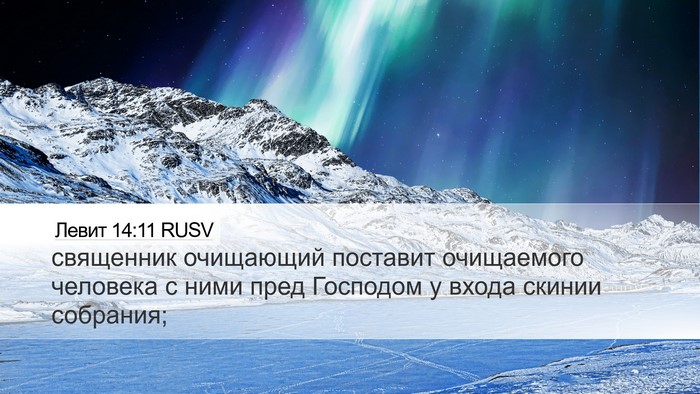 Левит 14:11 RUSV Desktop Wallpaper - священник очищающий - Desktop Bible Verse Wallpaper
