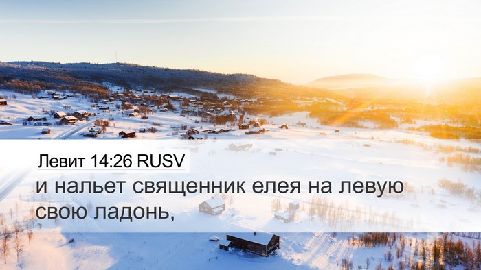 Левит 14:26 RUSV Desktop Wallpaper - и нальет священник елея на - Desktop Bible Verse Wallpaper