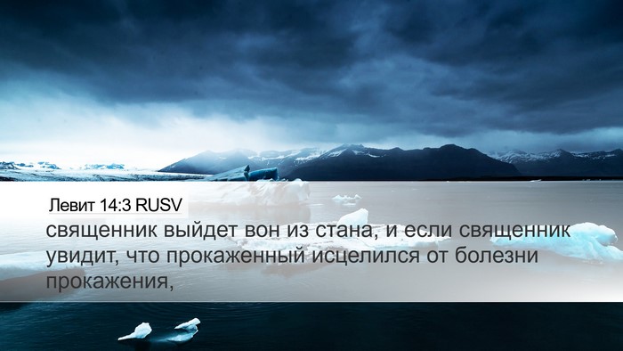 Левит 14:3 RUSV Desktop Wallpaper - священник выйдет вон из - Desktop Bible Verse Wallpaper