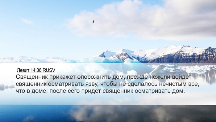 Левит 14:36 RUSV Bible Verse Image