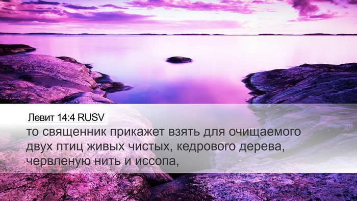 Левит 14:4 RUSV Bible Verse Image