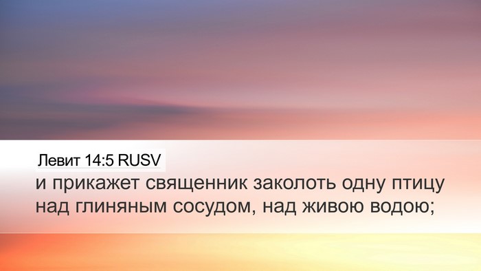 Левит 14:5 RUSV Desktop Wallpaper - и прикажет священник - Desktop Bible Verse Wallpaper