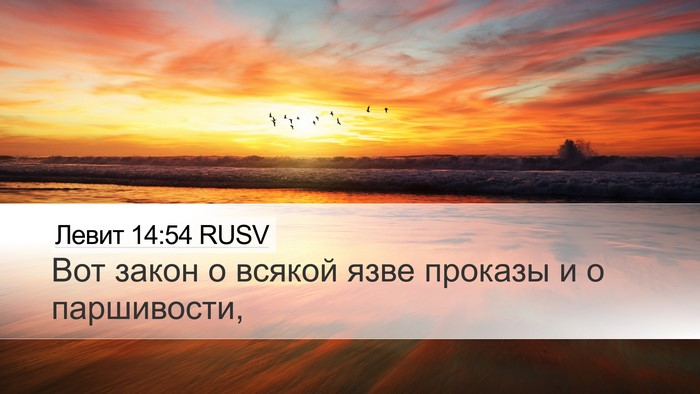 Левит 14:54 RUSV Bible Verse Image