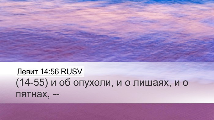 Левит 14:56 RUSV Desktop Wallpaper - (14-55) и об опухоли, и о - Desktop Bible Verse Wallpaper
