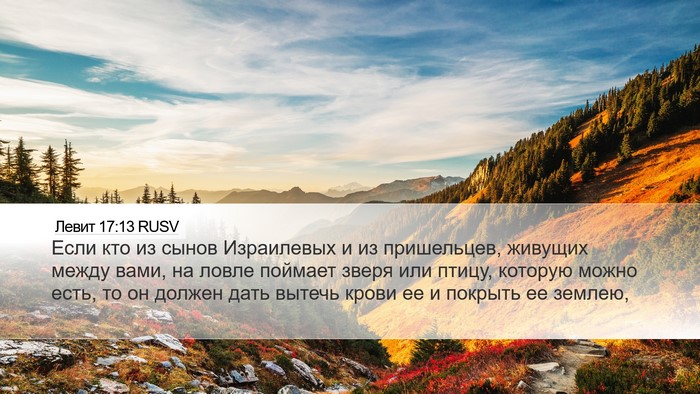 Левит 17:13 RUSV Bible Verse Image