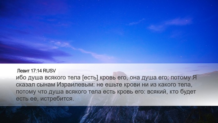 Левит 17:14 RUSV Desktop Wallpaper - ибо душа всякого тела - Desktop Bible Verse Wallpaper