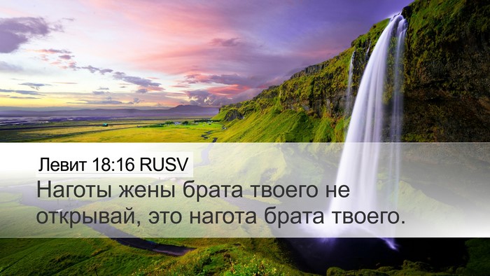 Левит 18:16 RUSV Bible Verse Image