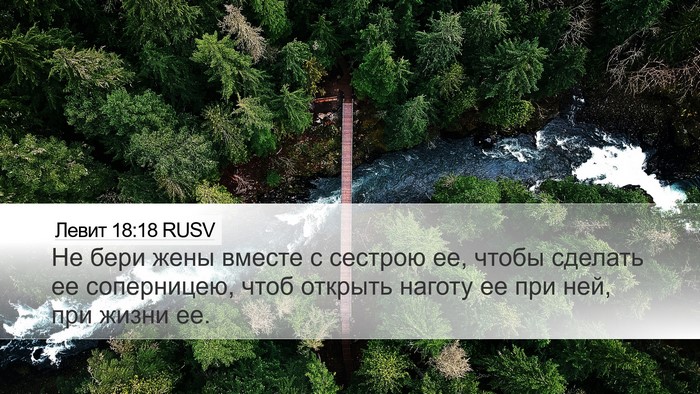 Левит 18:18 RUSV Bible Verse Image