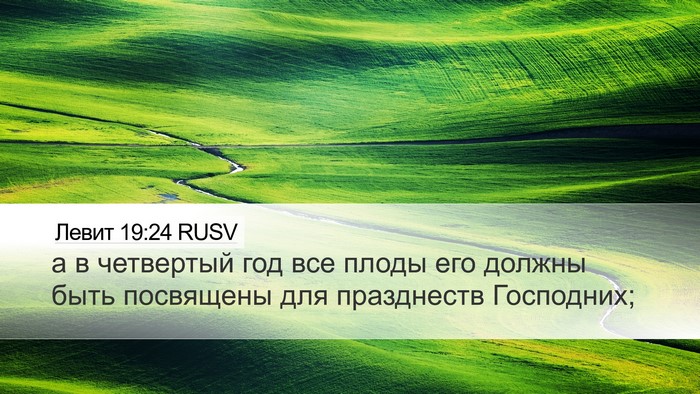 Левит 19:24 RUSV Desktop Wallpaper - а в четвертый год все плоды - Desktop Bible Verse Wallpaper