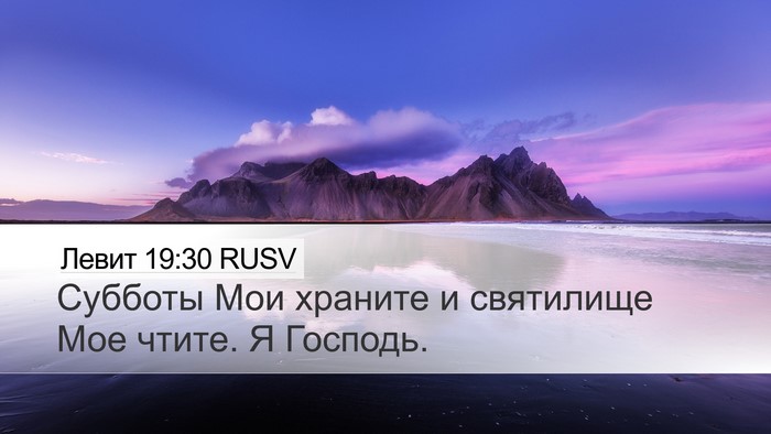 Левит 19:30 RUSV Bible Verse Image