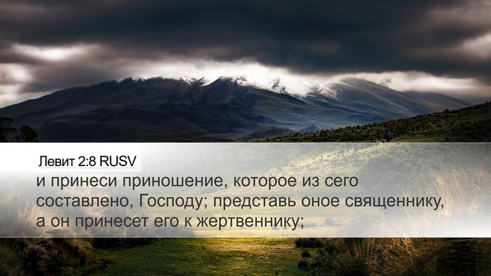 Левит 2:8 RUSV Desktop Wallpaper - и принеси приношение, - Desktop Bible Verse Wallpaper