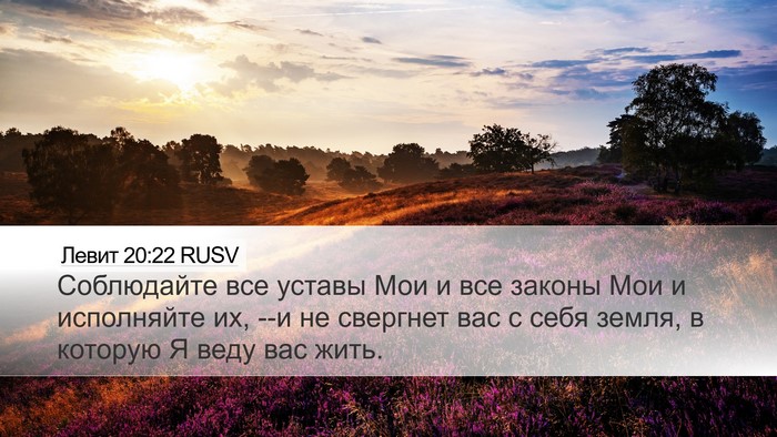 Левит 20:22 RUSV Bible Verse Image